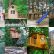 Home Tree Houses Modest On Home Inside Gallery Of House Pictures Projects And Options Portfolio 20 Tree Houses