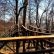 Home Treehouse Masters Brewery Delightful On Home With Regard To 75 Best Our Favorite Treehouses Images Pinterest Tree Forts 15 Treehouse Masters Brewery