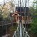 Home Treehouse Masters Brewery Modest On Home Regarding This Is The Bridge They Built For Master Show At Kevin 11 Treehouse Masters Brewery