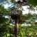 Other Treehouse Masters Mirrors Exquisite On Other Within Beach Rock Tree House Houses Treehouses And 14 Treehouse Masters Mirrors