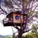 Other Treehouse Masters Mirrors Impressive On Other Within 18 Best Tree Houses Images Pinterest And 26 Treehouse Masters Mirrors
