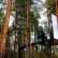 Other Treehouse Masters Mirrors Modern On Other Contemporary Rental T With Decor 7 Treehouse Masters Mirrors