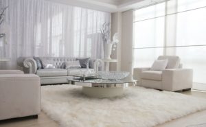 White Area Rug Living Room