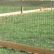 Other Wood And Wire Fences Brilliant On Other Within Mesh Fence 11 Wood And Wire Fences