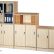 Office Wood Office Cabinet Incredible On Throughout With Door Wheelracer Info 11 Wood Office Cabinet