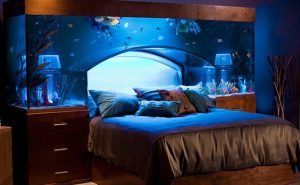 Amazing Bedroom Ideas