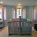 Bedroom Baby Room Ideas For Twins Delightful On Bedroom With Boy And Girl Twin Nature Themed Nursery Pinterest 12 Baby Room Ideas For Twins
