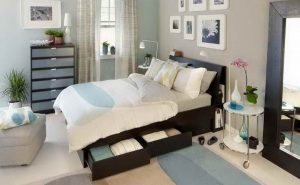 Bedroom Decorating Ideas For Young Adults