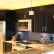 Black Painted Kitchen Cabinets Ideas Exquisite On In And Furniture 3
