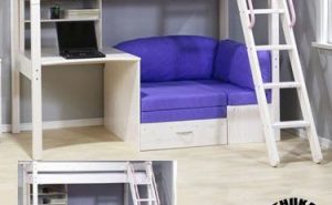 Bunk Bed With Desk And Couch