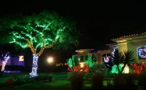Christmas Lights Outdoor Trees Warisan Lighting