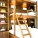 Furniture Cool Beds For Adults Creative On Furniture Intended Bunk Bed Image Of Double Loft 13 Cool Beds For Adults