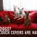 Furniture Cover My Furniture Imposing On Intended For Best Pet Covers Couches First Shiba Inu 24 Cover My Furniture