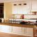 Kitchen Custom Glazed Kitchen Cabinets Plain On Throughout DALCO Kitchens RTA 20 Custom Glazed Kitchen Cabinets
