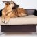 Designer Dog Bed Furniture Contemporary On Within Pet Friendly Recycled Wood With 5