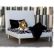 Designer Dog Bed Furniture Impressive On Intended For Miami Beach 3