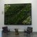 Informal Green Wall Indoors Charming On Interior For How To Create A Living In Your Home HGTV 3