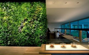 Informal Green Wall Indoors