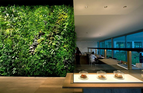 Interior Informal Green Wall Indoors Modest On Interior Pertaining To The Benefits Of Walls 0 Informal Green Wall Indoors