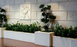 Interior Landscaping Office