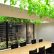 Interior Interior Landscaping Office Excellent On And Architectural Planters Group 23 Interior Landscaping Office