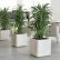 Interior Interior Landscaping Office Stylish On Within Artificial Plants Tropical 29 Interior Landscaping Office