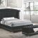 King Platform Bed Black Interesting On Furniture For Coaster Barzini Upholstered 4