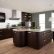 Kitchens With Dark Brown Cabinets Creative On Kitchen Within Harmonious Look Of Zachary Horne Homes 5