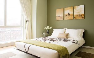 Modern Bedroom Green