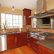 Modern Cherry Wood Kitchen Cabinets Excellent On In Interior Design Designer Kitchens With 3