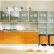 Modern Glass Cabinet Doors Beautiful On Kitchen Intended Yellow Designs Ideas And Decors 4