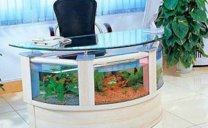 Office Desk Fish Tank