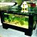 Furniture Office Desk Fish Tank Wonderful On Furniture Aquarium Bed 25 Office Desk Fish Tank