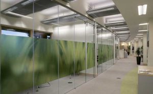 Office Glass Walls
