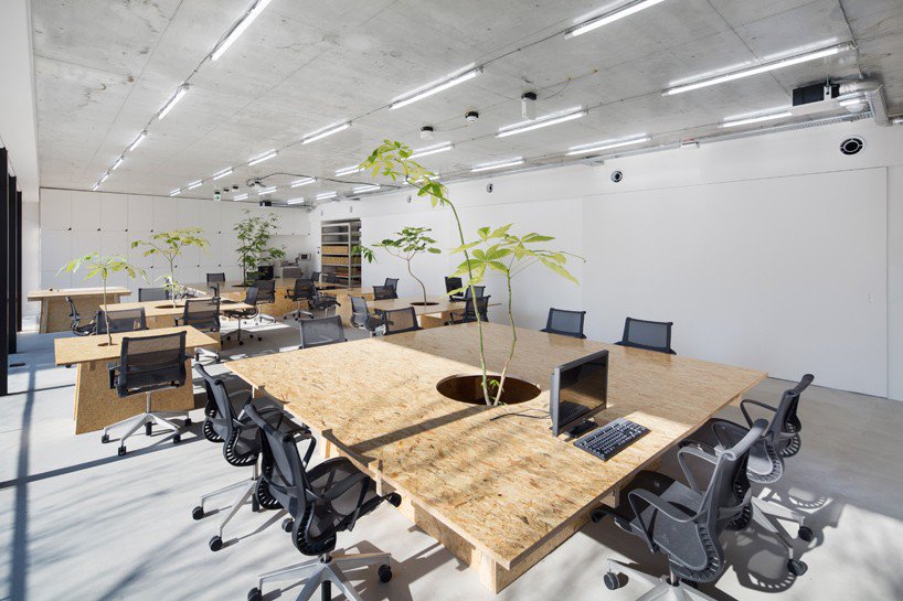 Office Office Space Architecture Exquisite On Within Schemata Architects Brings Plant Life Into Tokyo 12 Office Space Architecture