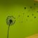 Office Office Wall Design Marvelous On In Reading Only Medics Recruitment Photo 15 Office Wall Design