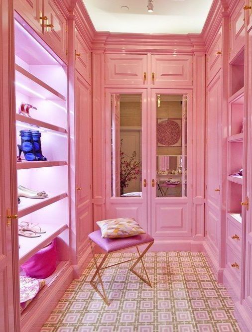 Interior Pink Closet Room Delightful On Interior In Walk ClosetCustom CabinetryDream Dream Home 0 Pink Closet Room