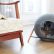 Stylish Cat Furniture Nice On Intended For Beds And Cocoons The Discerning Pet 3