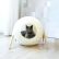 Furniture Stylish Cat Furniture Nice On Regarding Cocoons Cozy Feline Fits Into 24 Stylish Cat Furniture