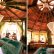 Interior Tree House Interior Brilliant On For Accessories BEST HOUSE DESIGN Chic 12 Tree House Interior