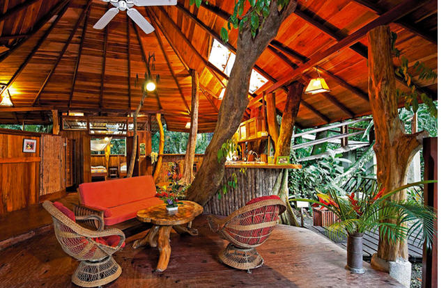Home Treehouse Masters Inside Remarkable On Home Pertaining To Tree Houses Design Ideas Http 0 Treehouse Masters Inside