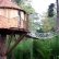 Home Treehouse Masters Irish Cottage Stylish On Home In Atlanta Alpaca The Bamboo Forest Treehouses For Rent 11 Treehouse Masters Irish Cottage