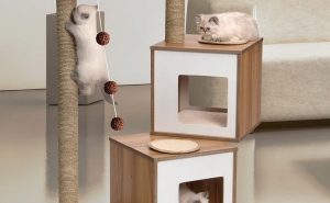 Trendy Cat Furniture