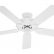 White Hunter Ceiling Fans Stunning On Furniture Within 53054 Sea Air 52 Fan CeilingFan Com 3