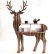 Wooden Home Furniture Modern On And New High End S Size Lookback Reindeer Table 4